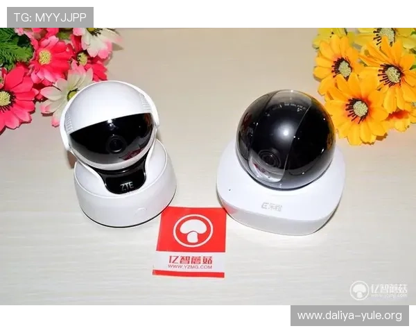 顶级娱乐城技术支持与服务：确保玩家无忧体验的专业保障